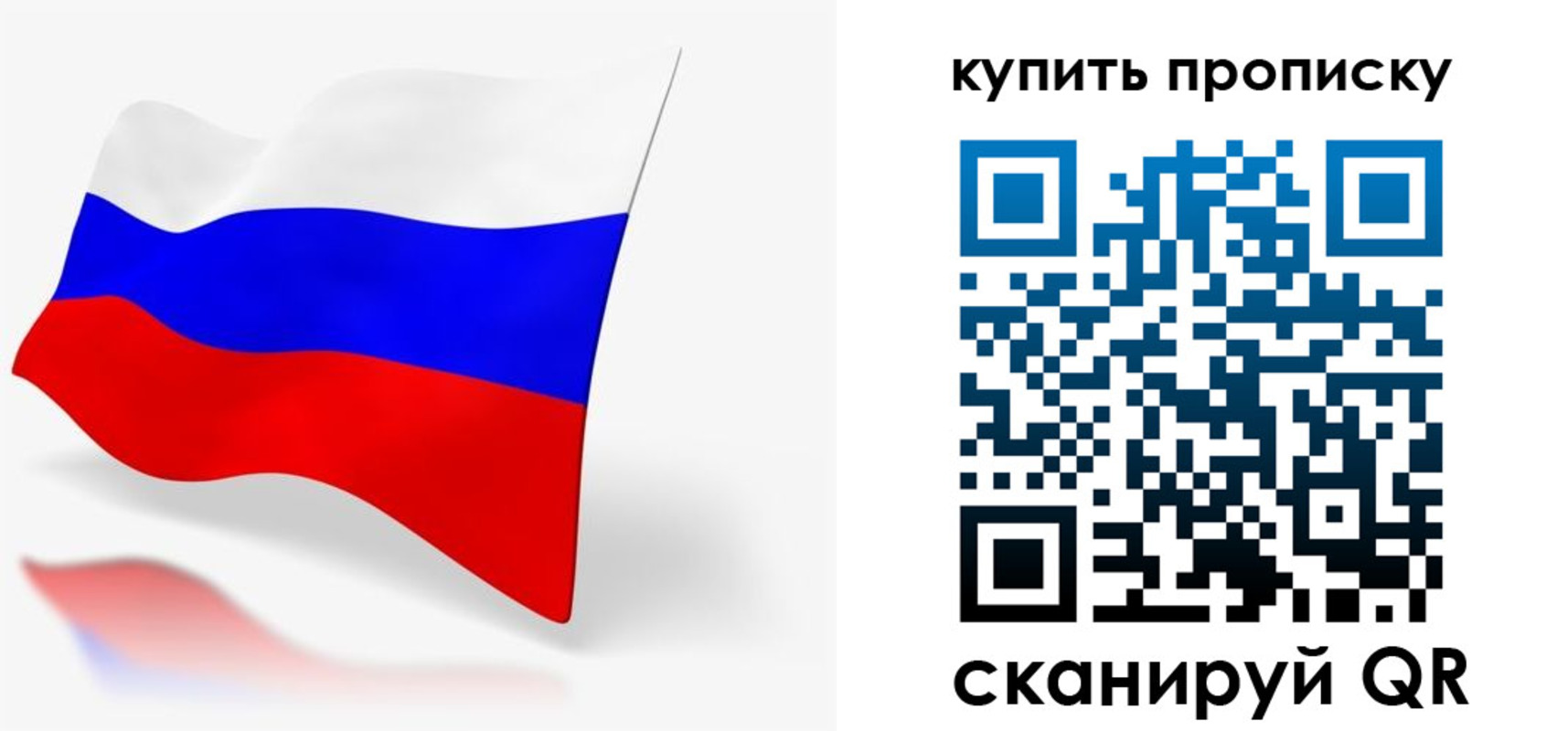 прописка для школы в Кургане